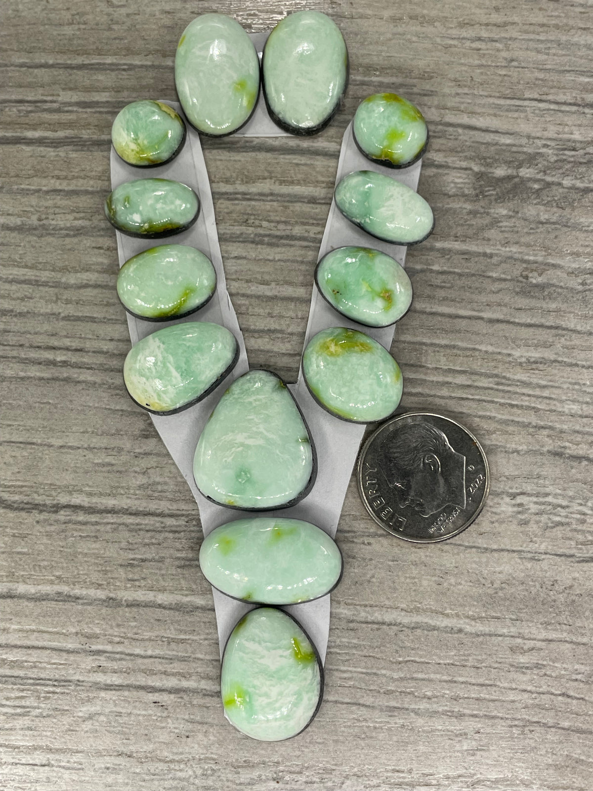 Palomino Lariat Set