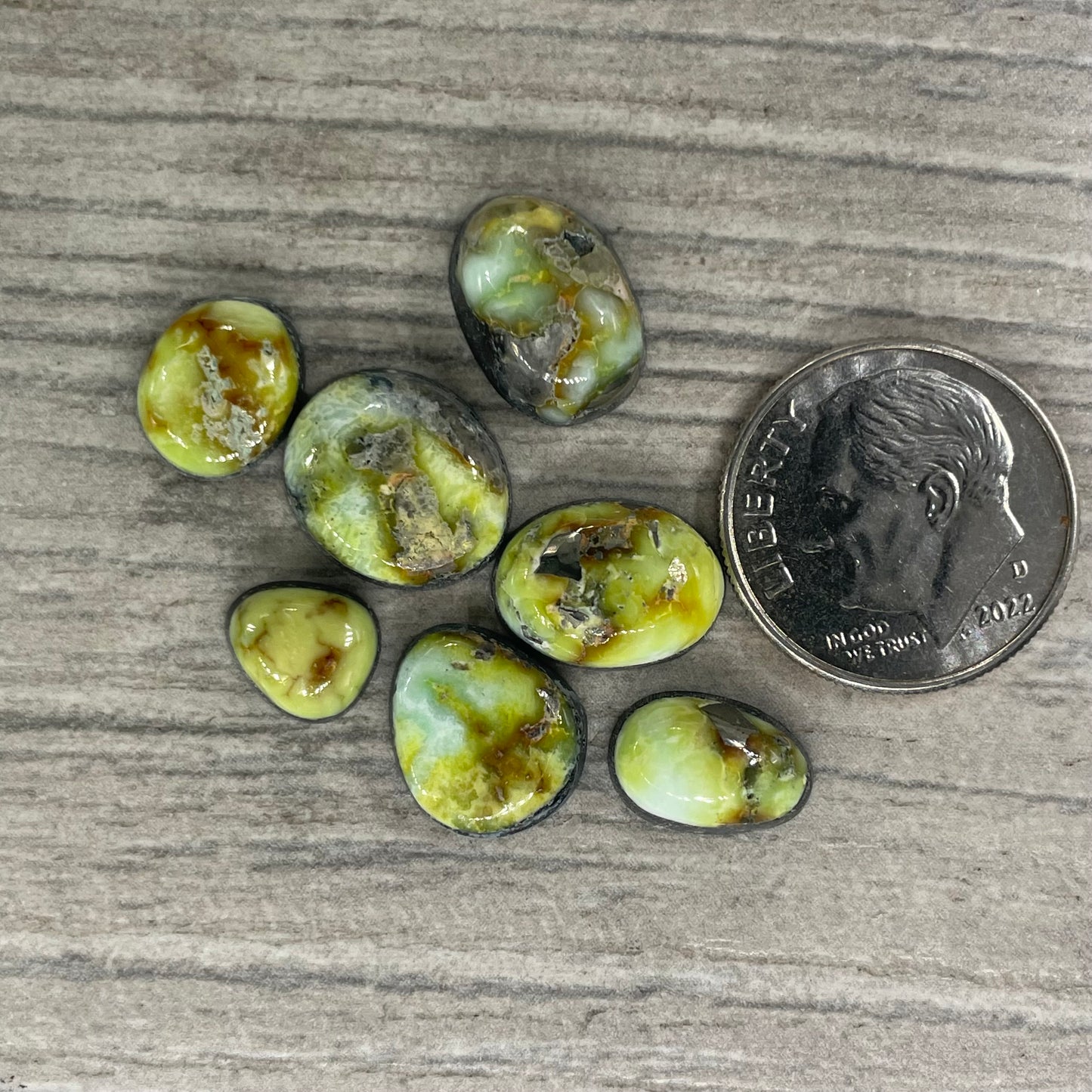 Palomino Minis