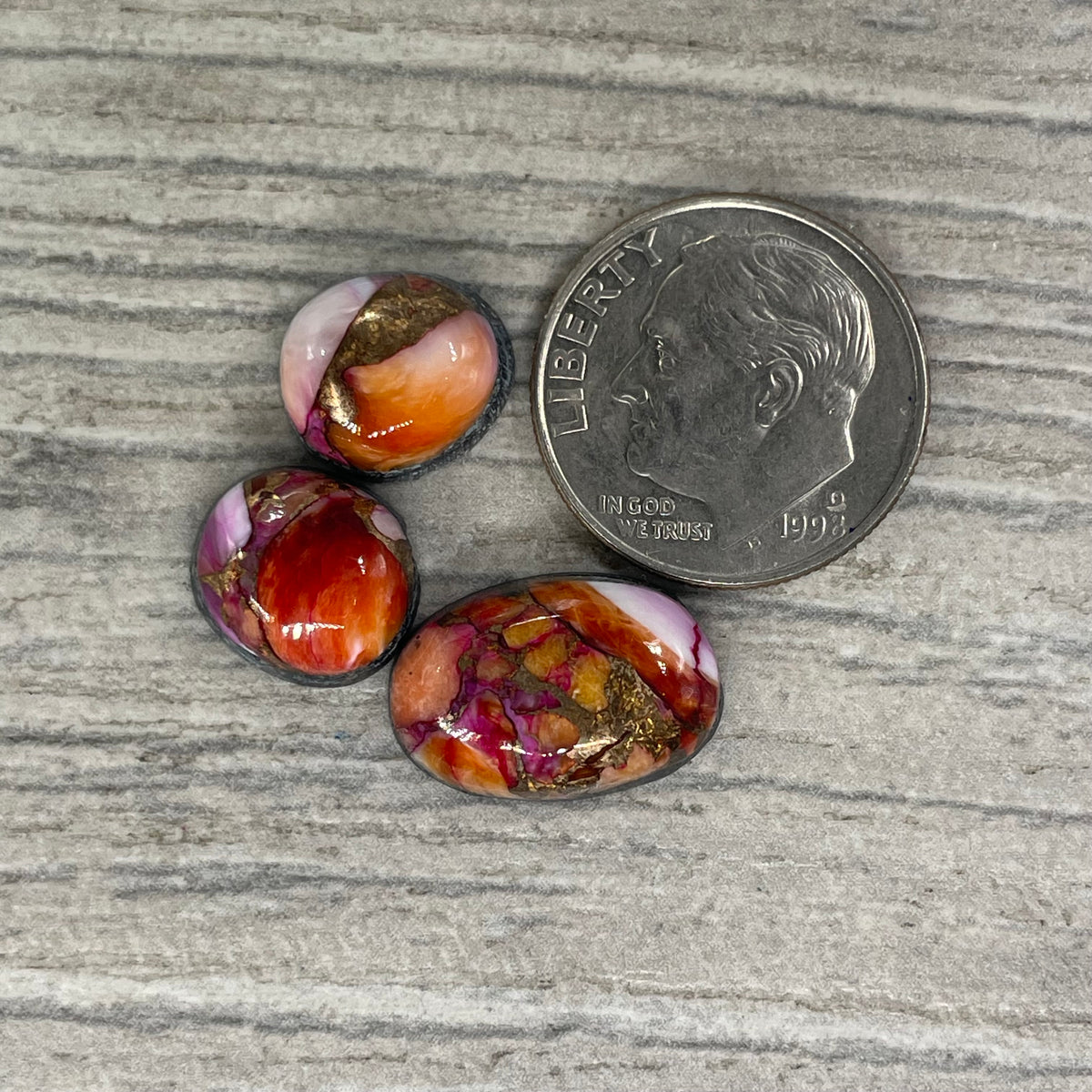 Starburst Spiny Oyster