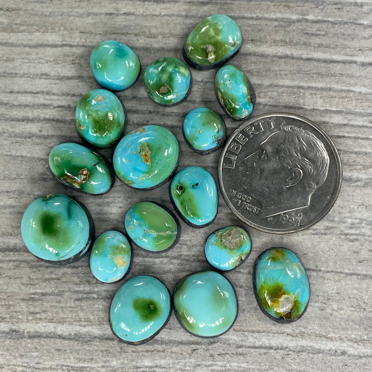 Sonoran Mountain Minis