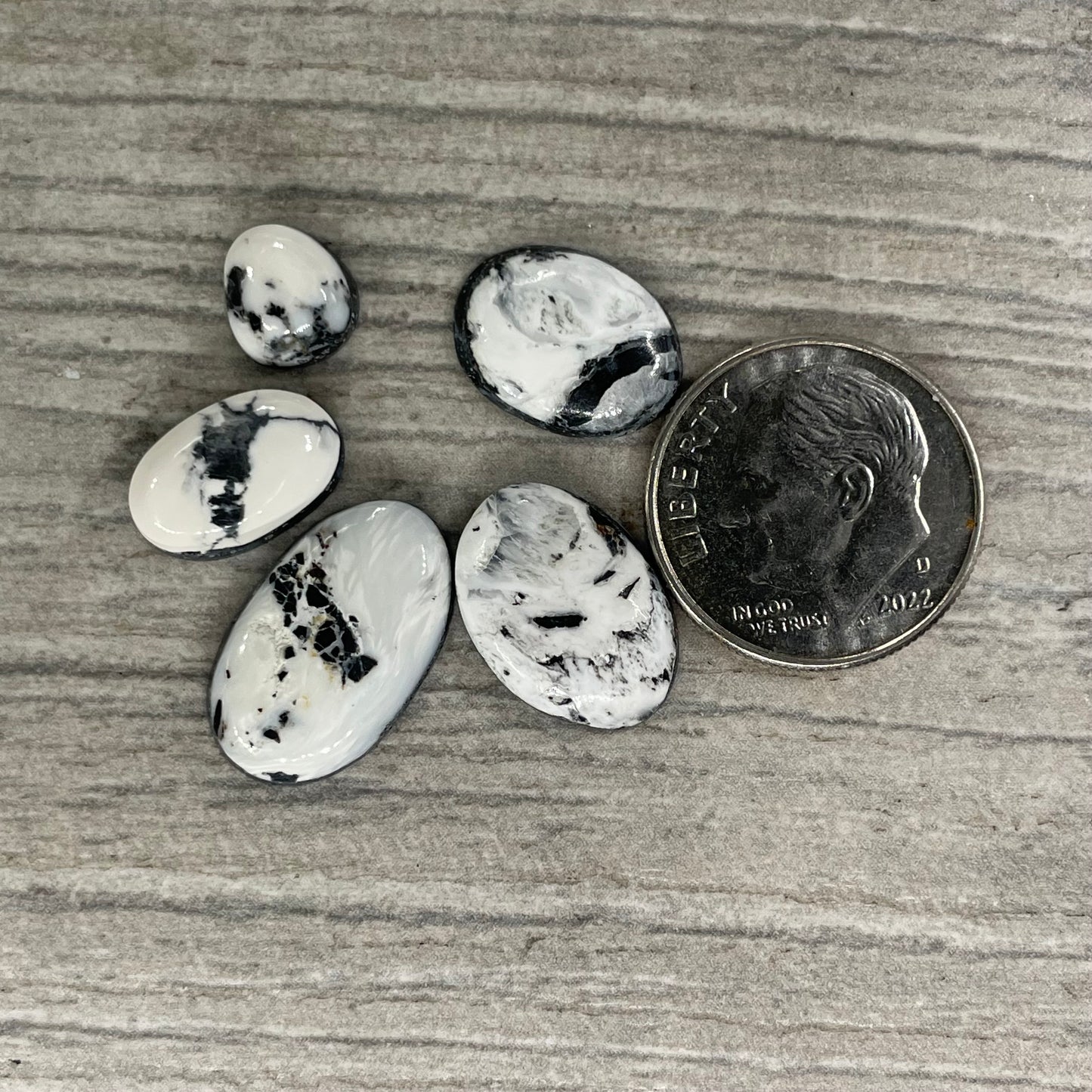 White Buffalo Minis