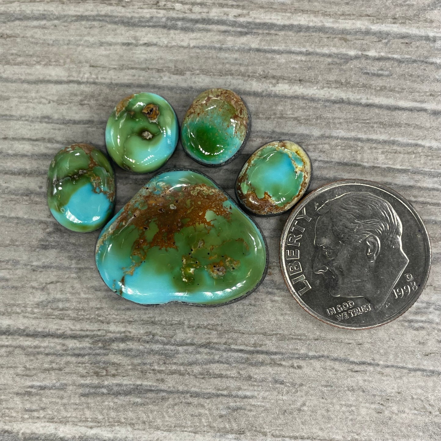 Sonoran Mountain Paw