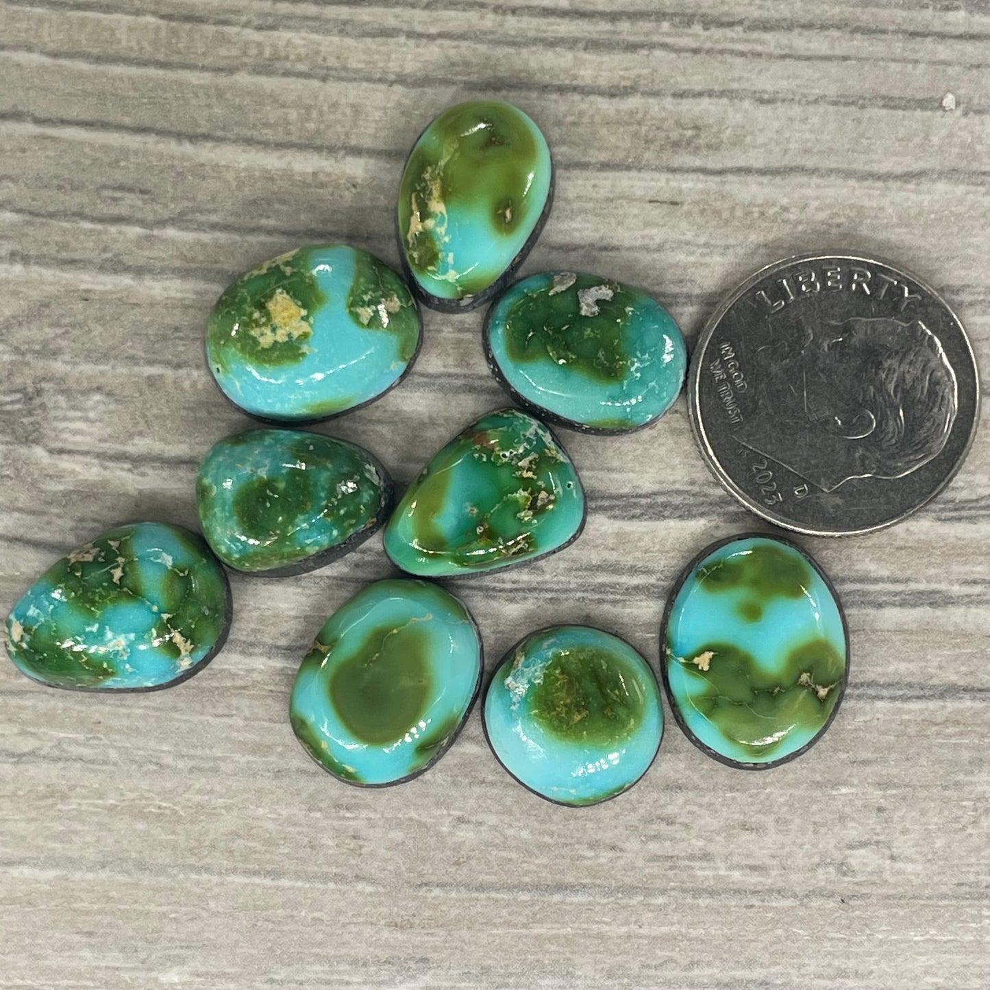 Sonoran Mountain Minis