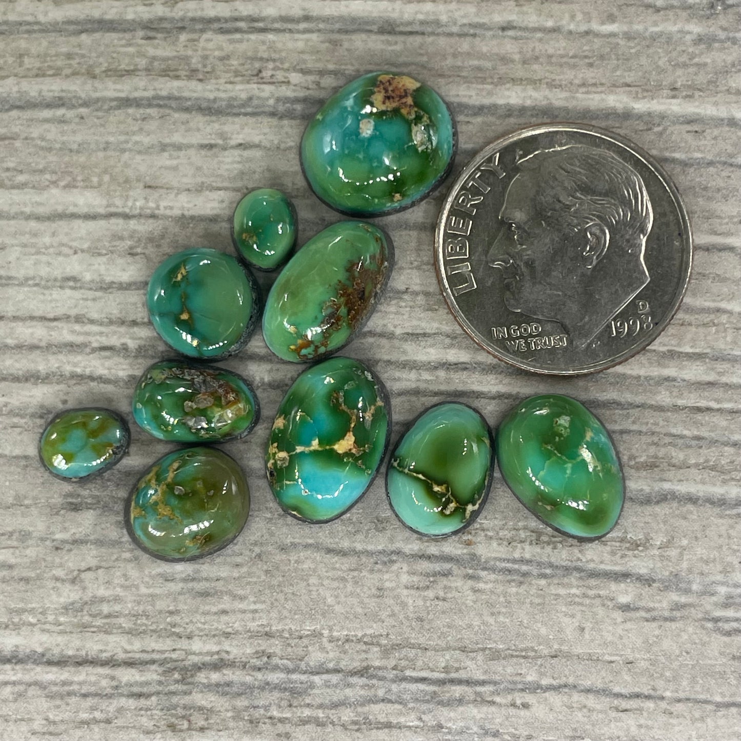 Sonoran Mountain Minis