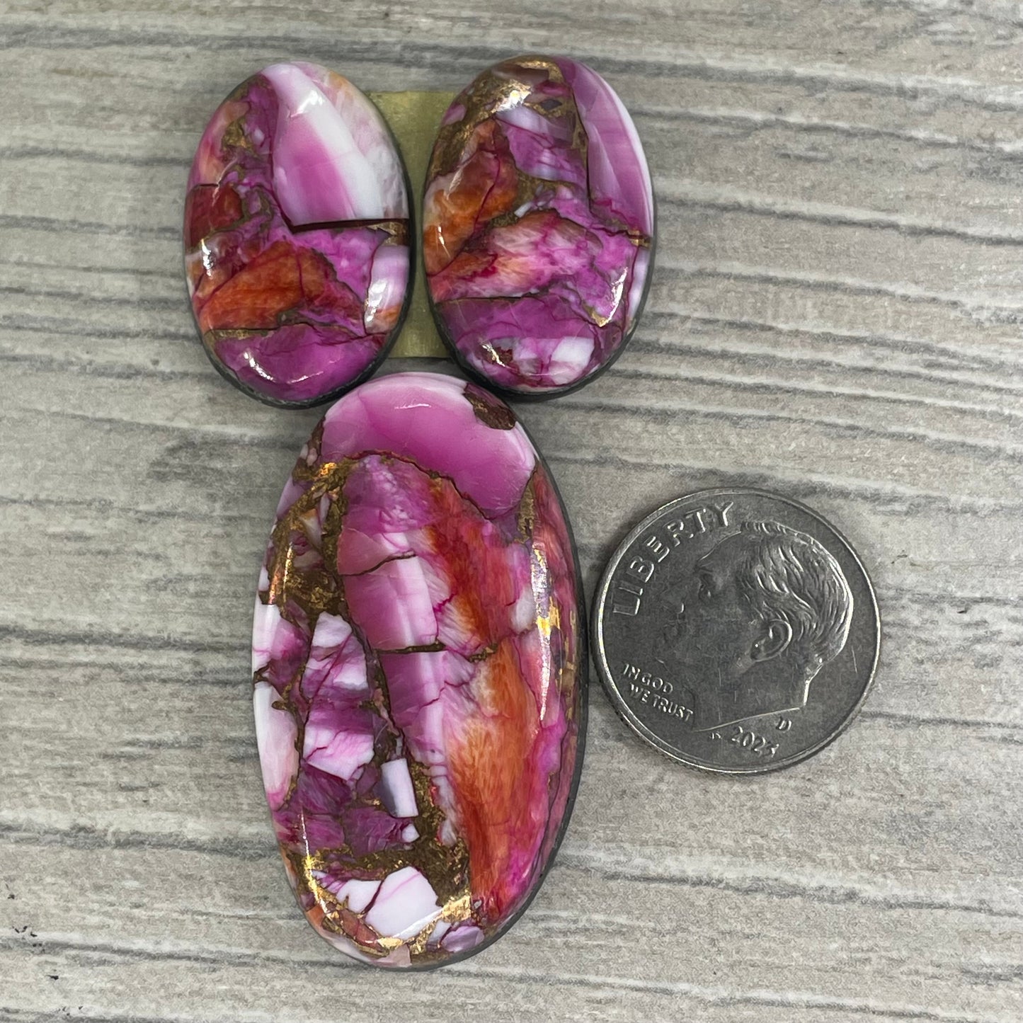 Starburst Spiny Oyster