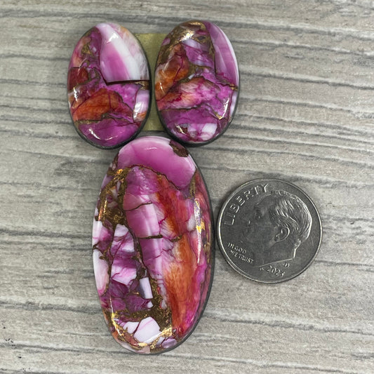 Starburst Spiny Oyster