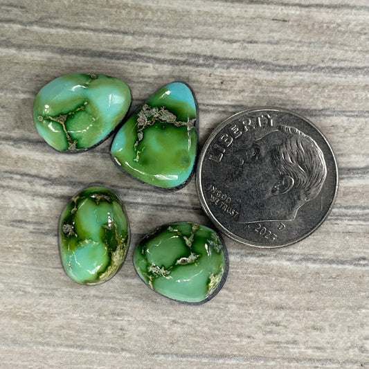 Sonoran Mountain Minis