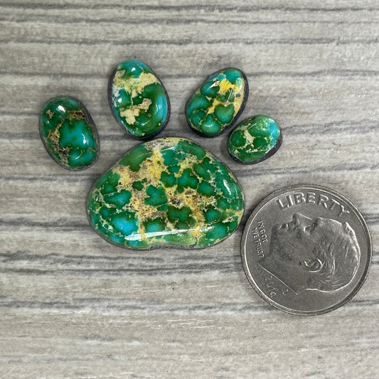 Sierra Bella Paw