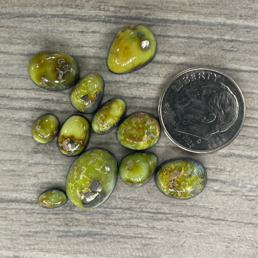 Palomino Minis