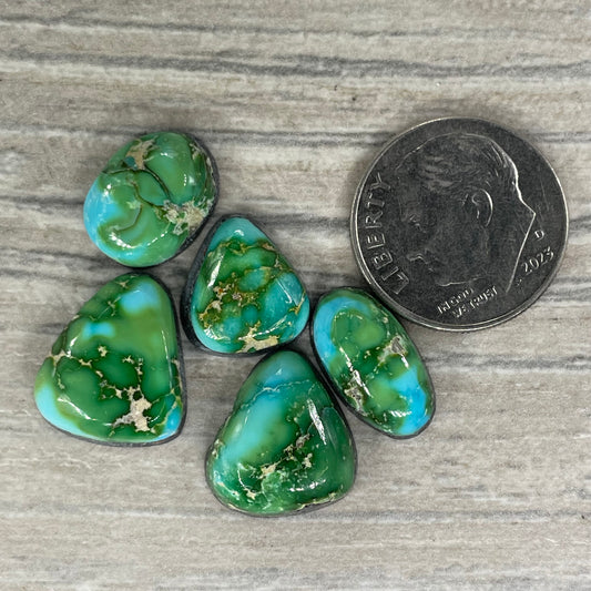 Sonoran Mountain Minis