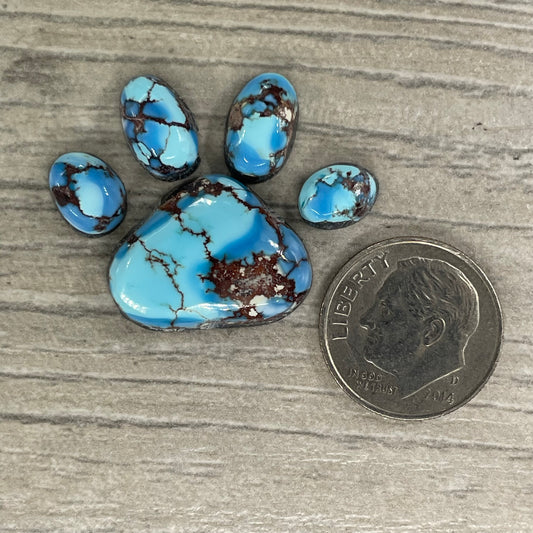 Golden Hill Paw