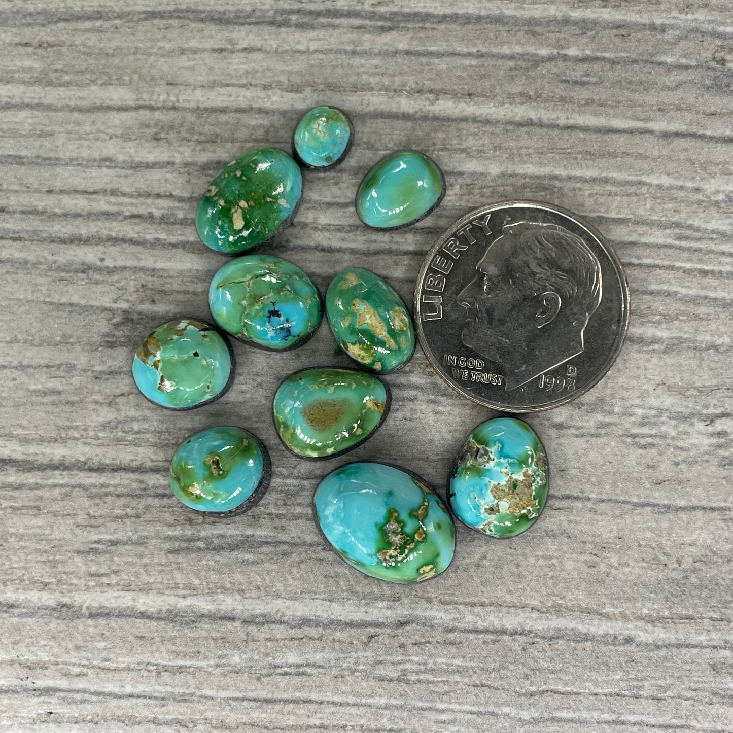 Sonoran Mountain Minis