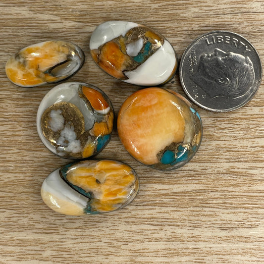 Orange Spiny Turquoise