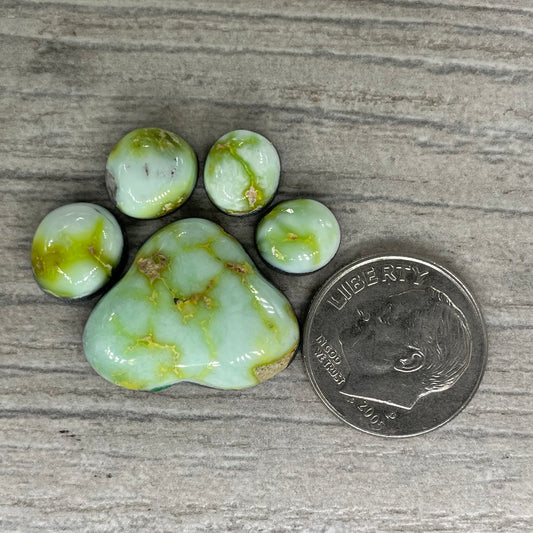 Palomino Paw Set
