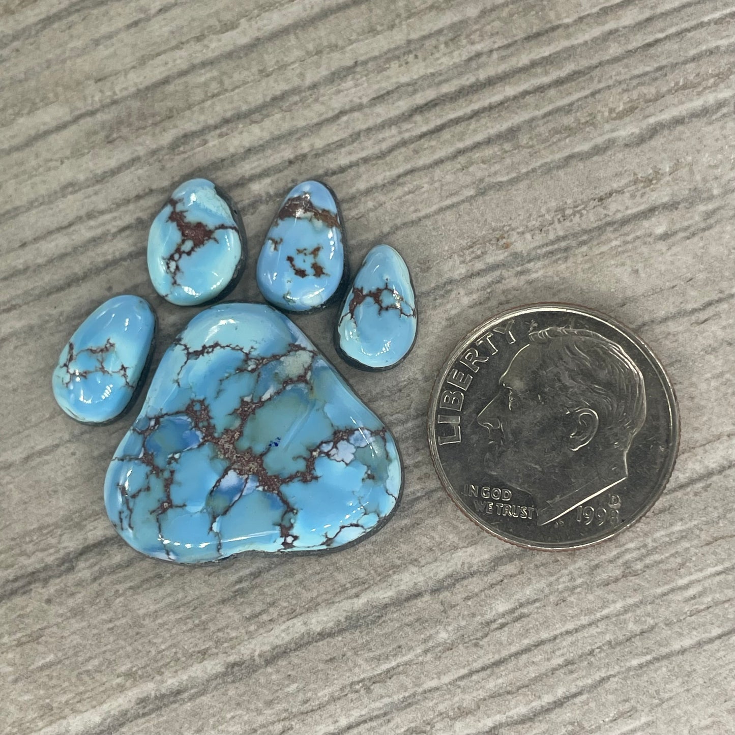 Golden Hill Paw