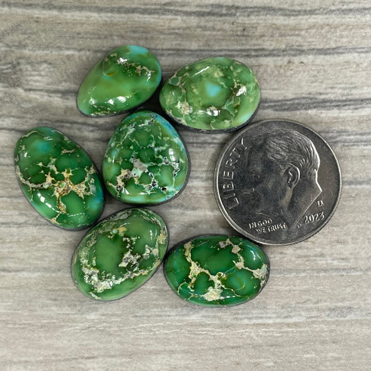 Sonoran Mountain Minis