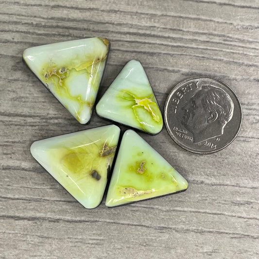 Palomino Triangles