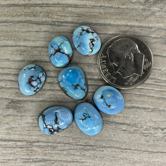 Golden Hill Minis