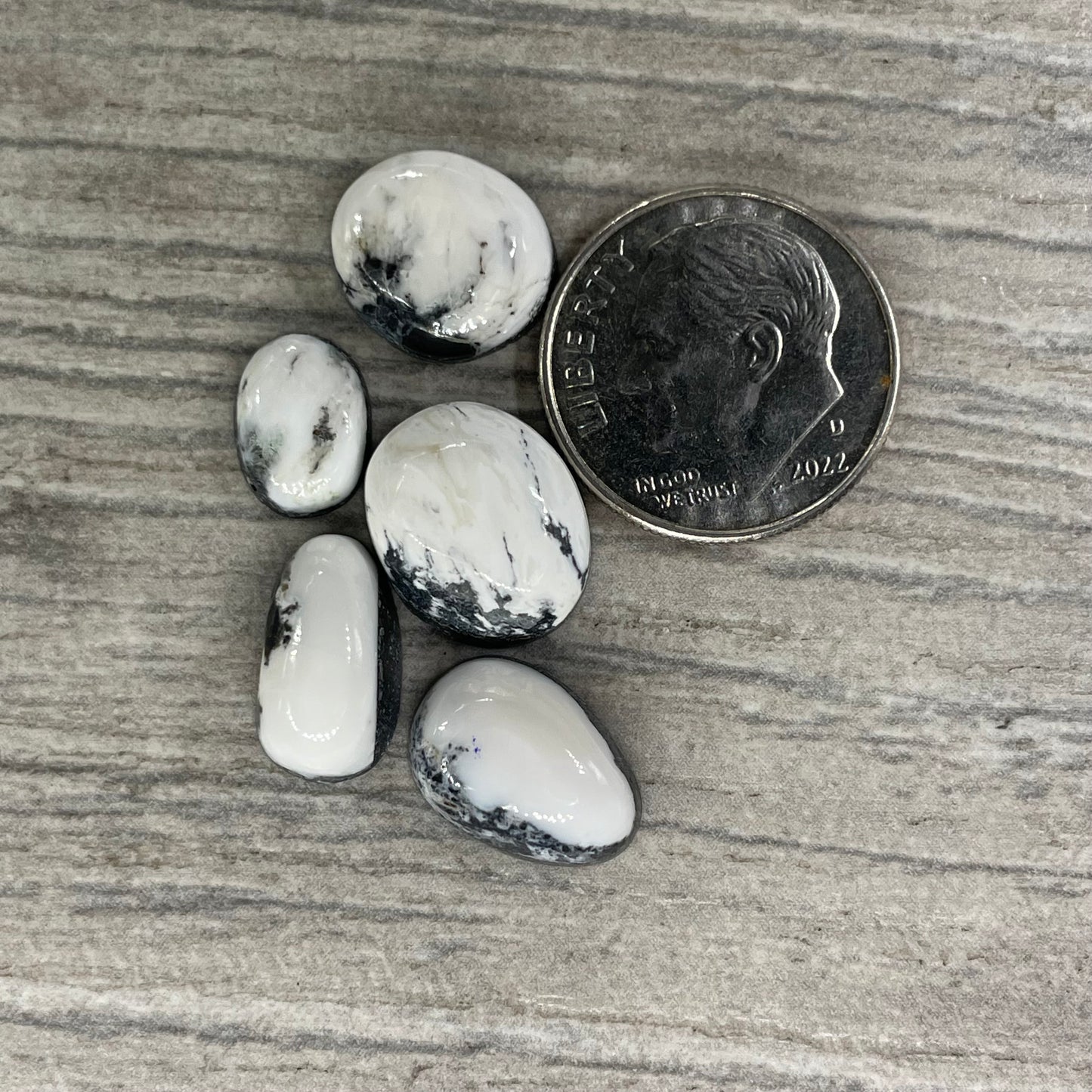 White Buffalo Minis