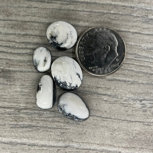 White Buffalo Minis