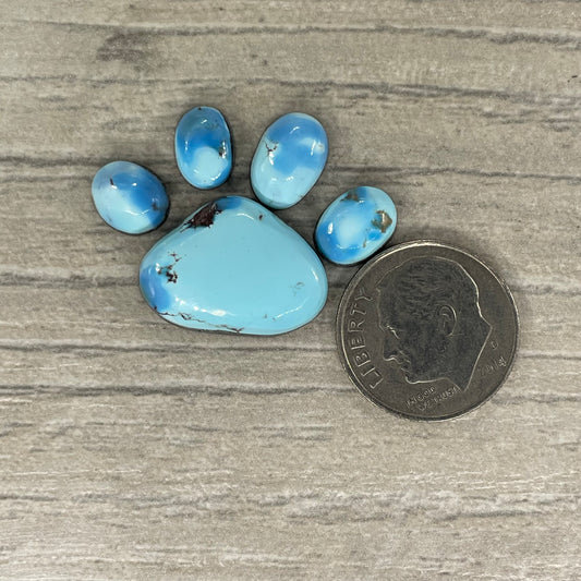 Golden Hill Paw
