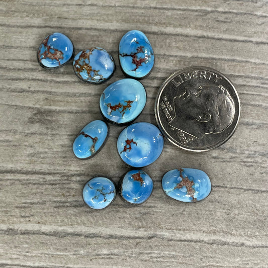 Golden Hill Minis