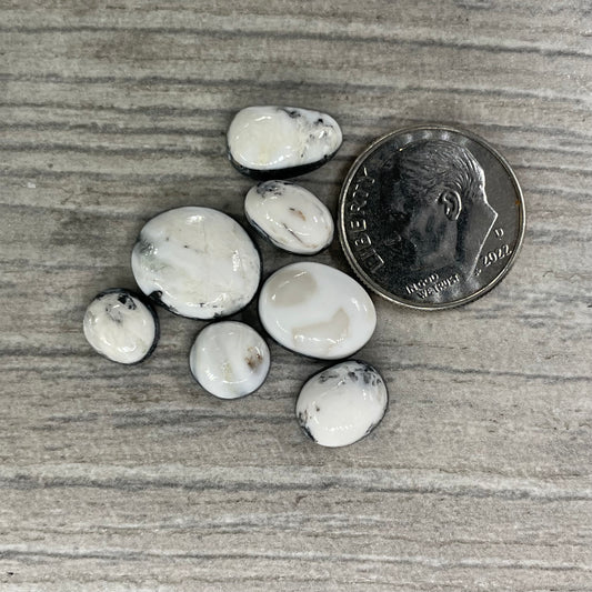 White Buffalo Minis