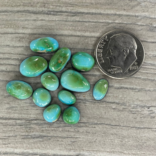 Sierra Bella Minis