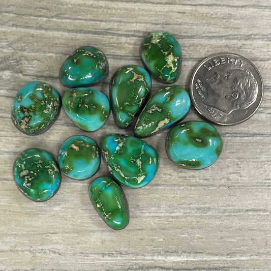 Sonoran Mountain Minis