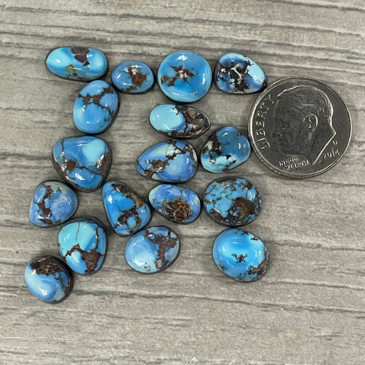 Golden Hill Minis