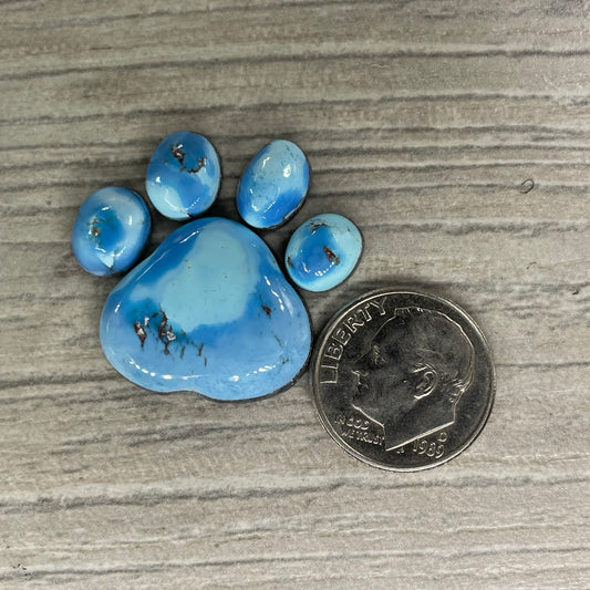 Golden Hill Paw