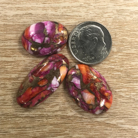 Starburst Spiny Oyster