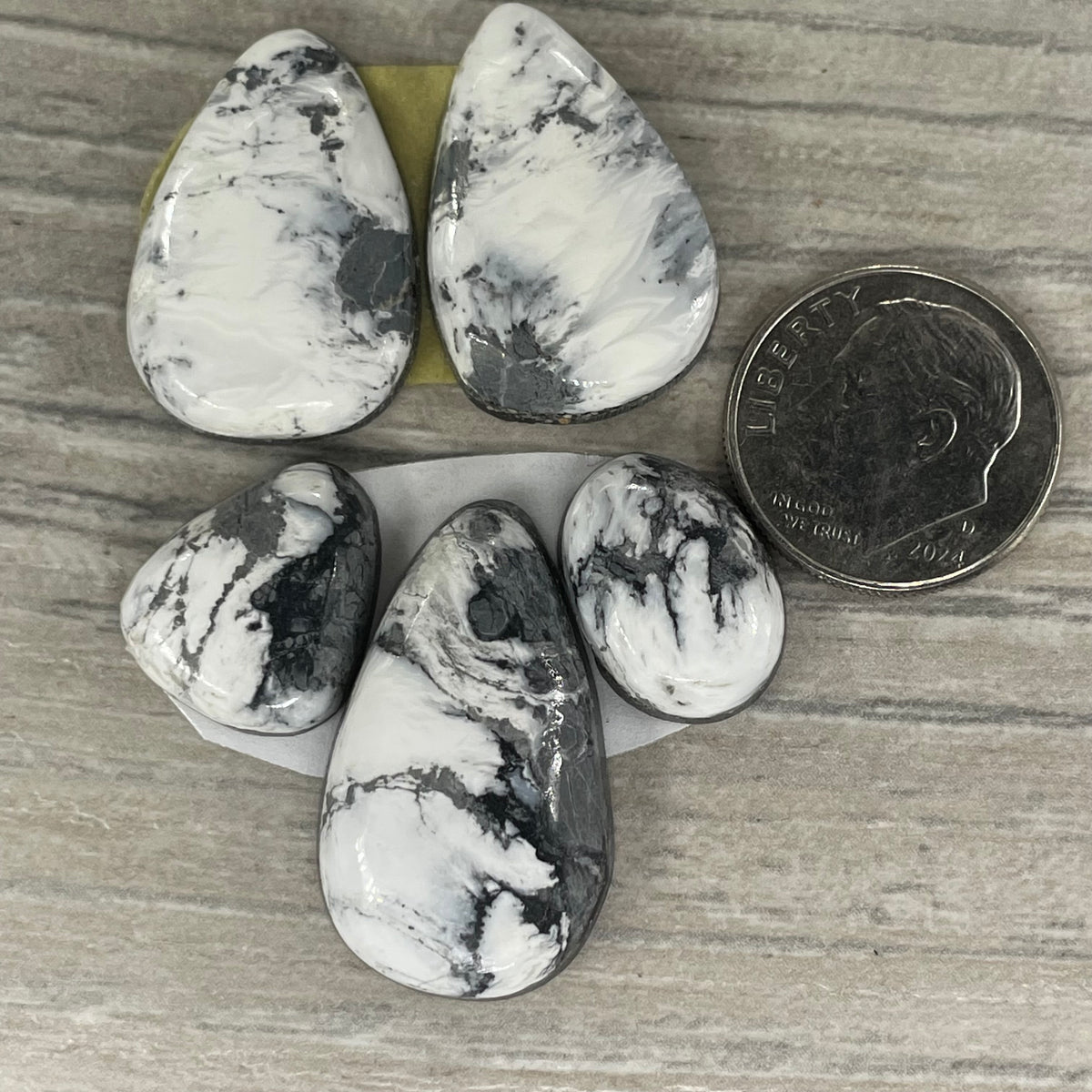 White Buffalo Set