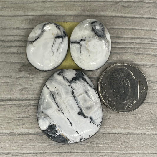 White Buffalo Set