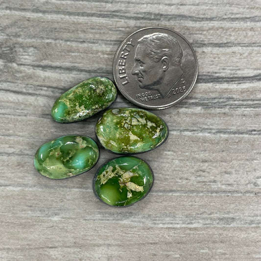 Sonoran Mountain Minis