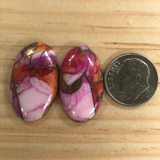 Starburst Spiny Oyster