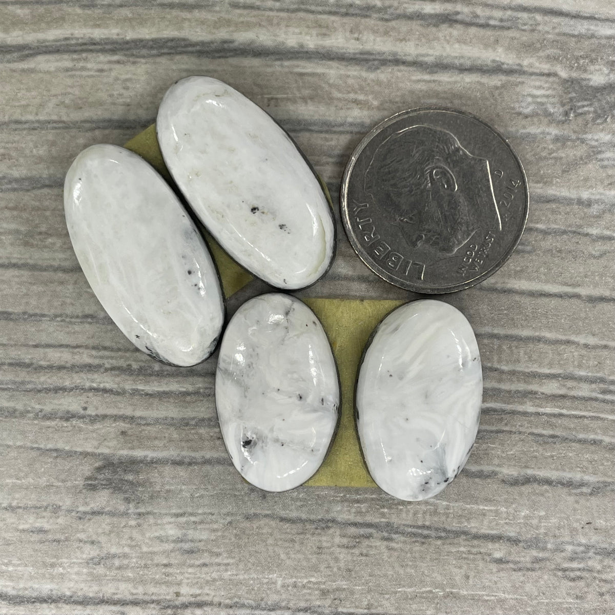 White Buffalo Earring Pairs