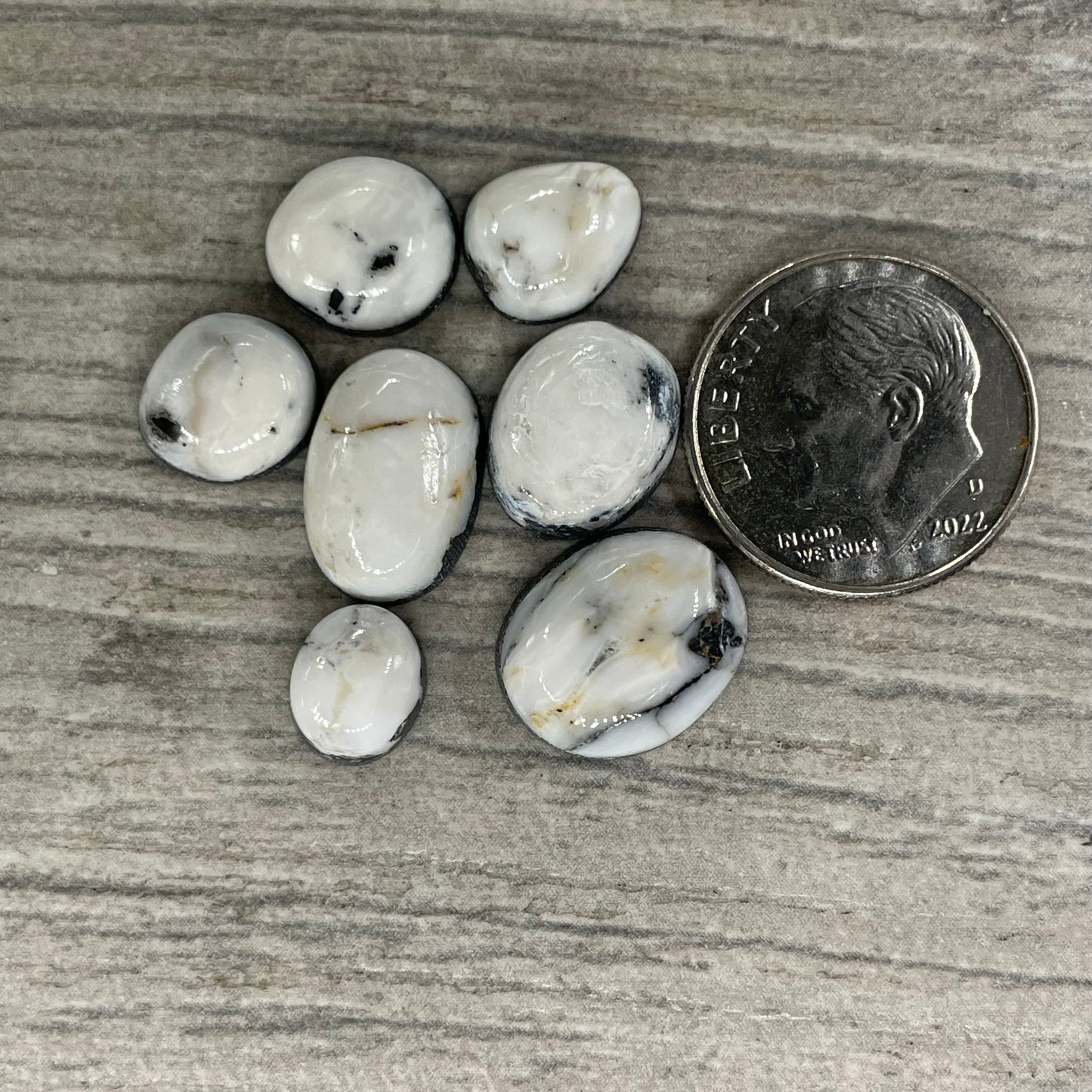 White Buffalo Minis