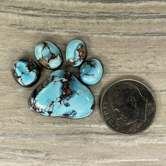 Golden Hill Paw
