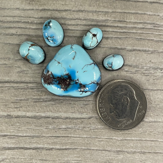 Golden Hill Paw