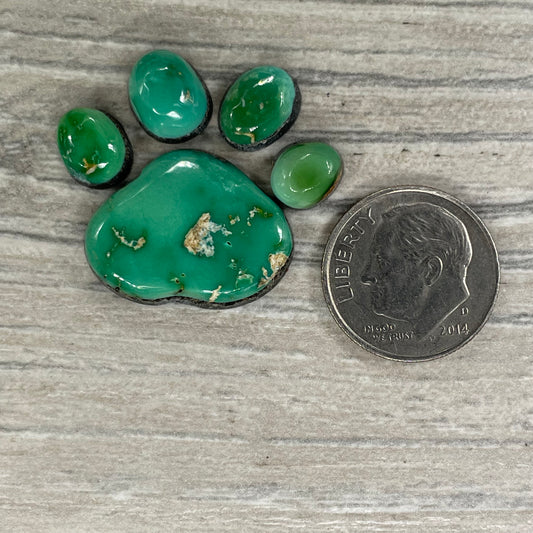 Emerald Valley Paw