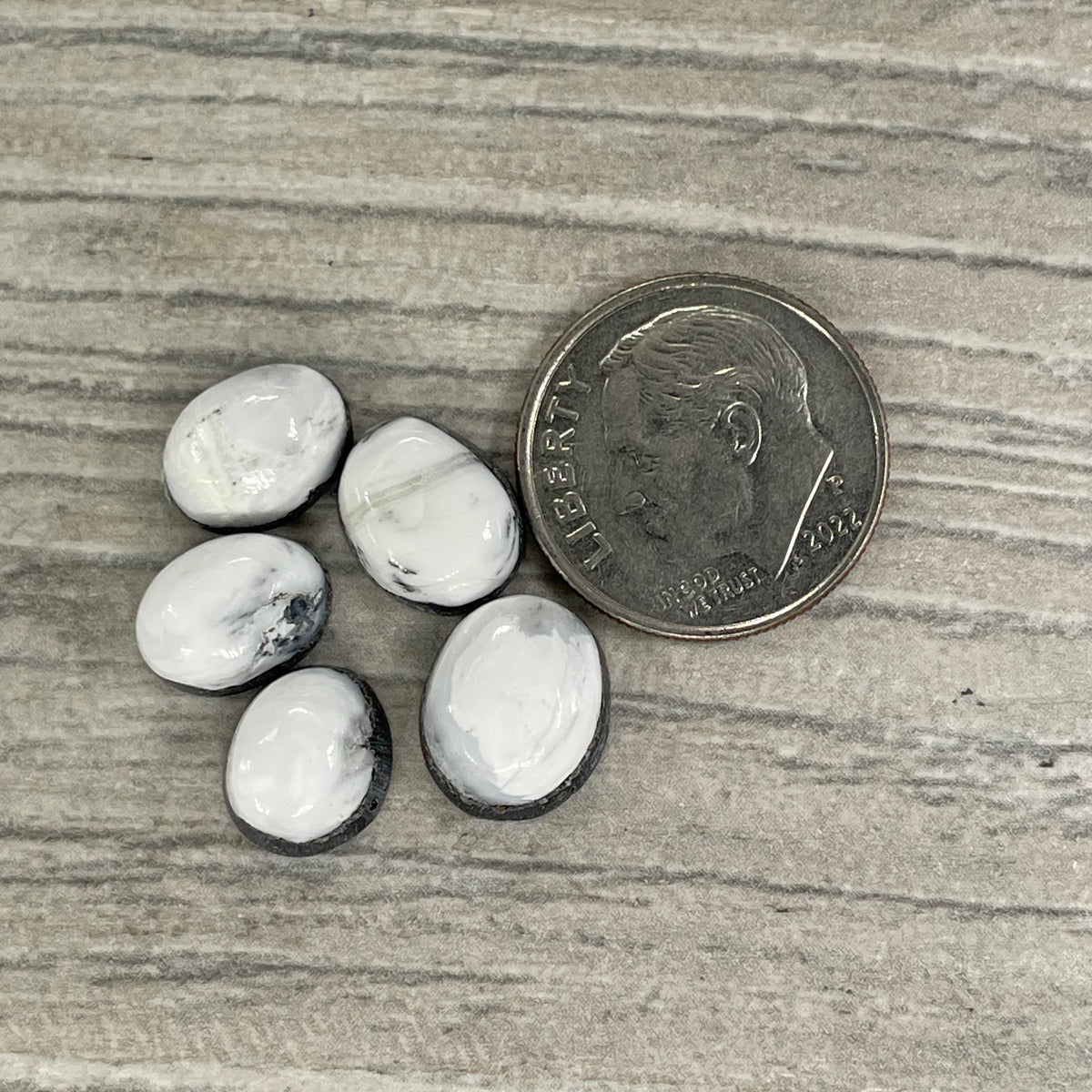 White Buffalo Minis