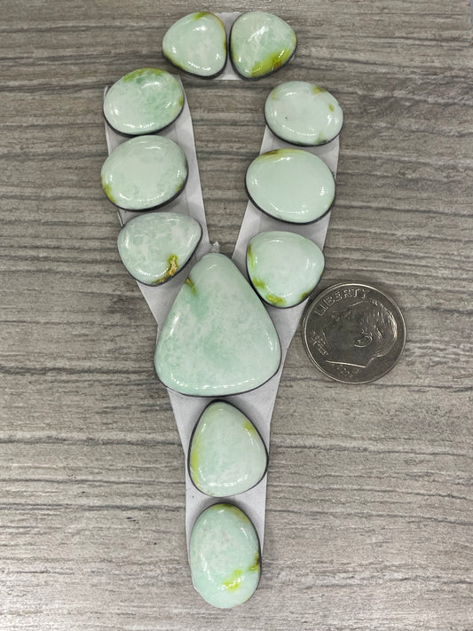 Palomino Lariat Set