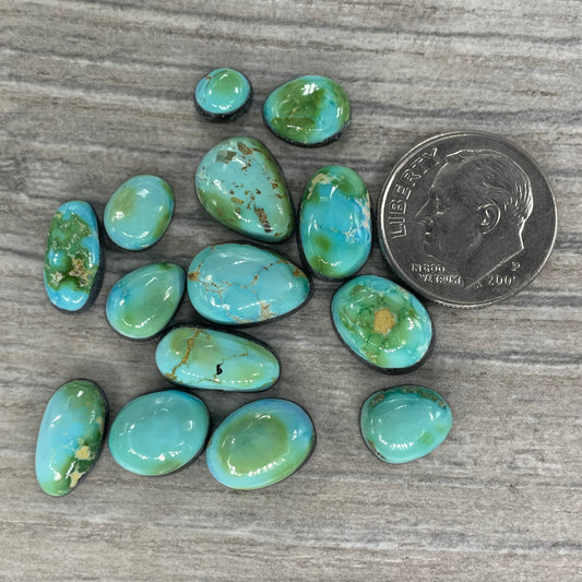 Sonoran Mountain Minis