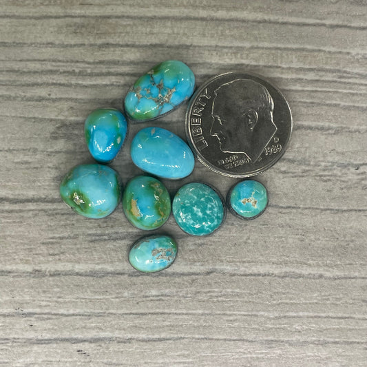 Sierra Bella Minis