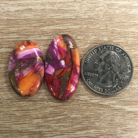 Starburst Spiny Oyster