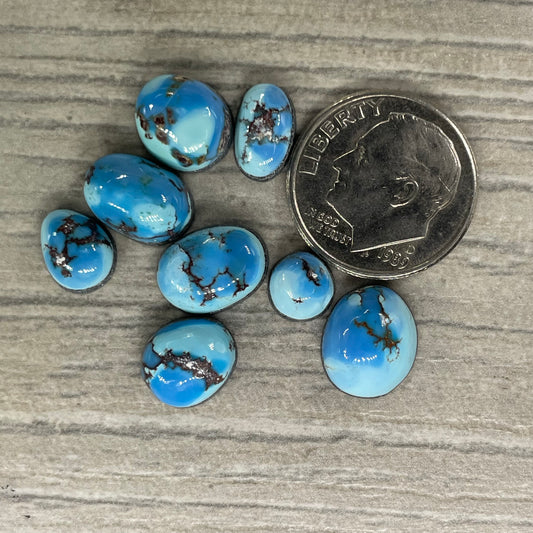 Golden Hill Minis