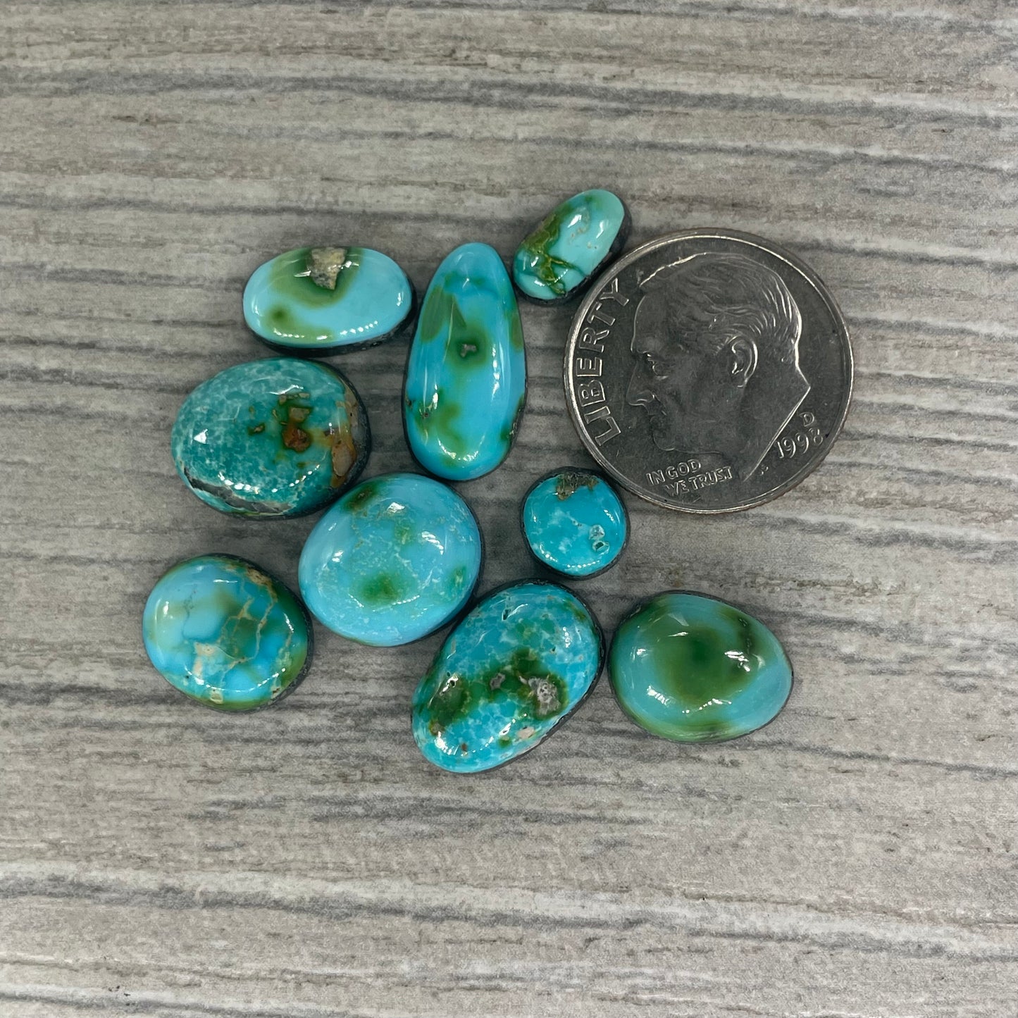 Sonoran Mountain Minis