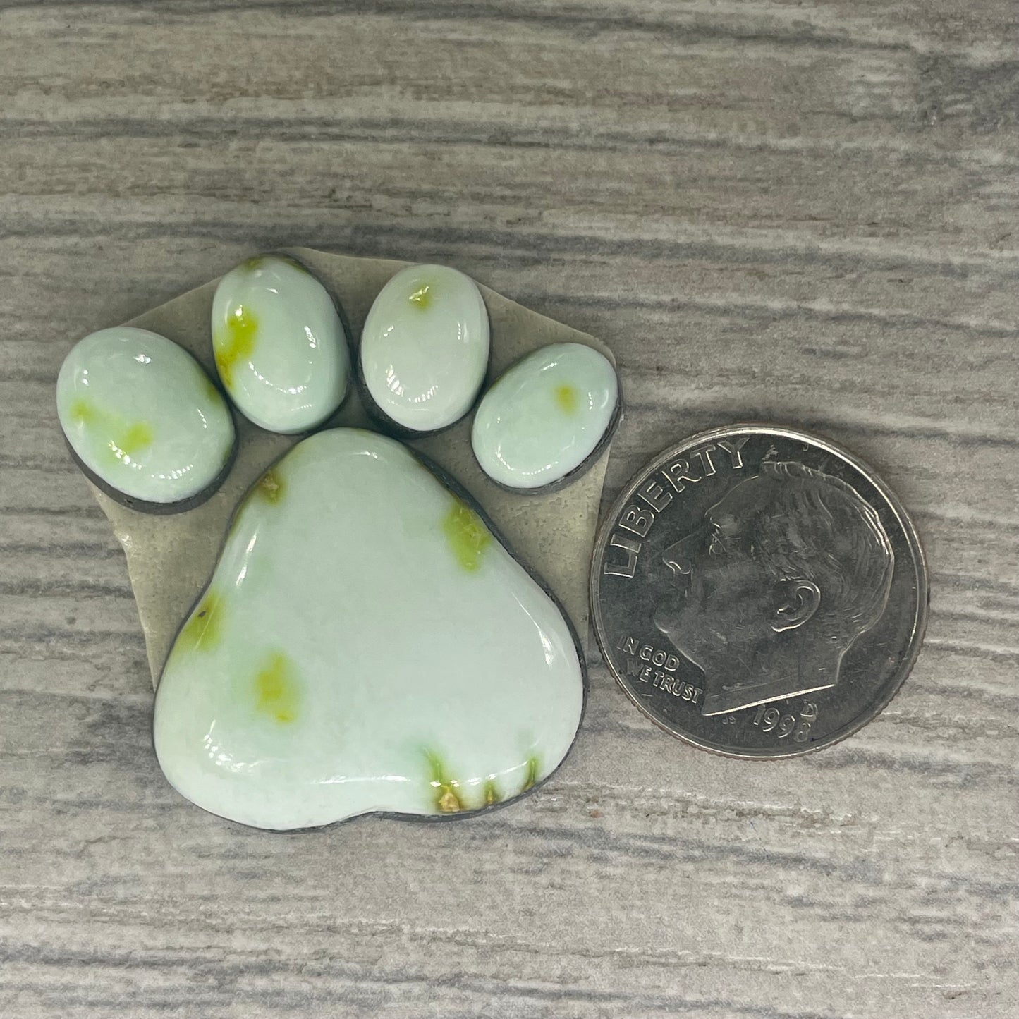 Palomino Paw