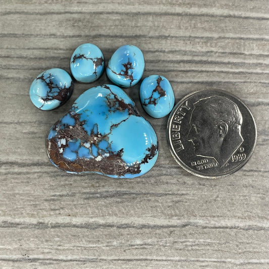 Golden Hill Paw